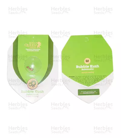 Bubble Kush Automatic (RQS) Cannabis-Samen