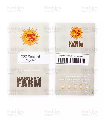 CBD Caramel regular (Barney's Farm) Cannabis-Samen