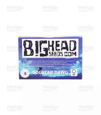 Dogstar Dawg (Big Head Seeds) Cannabis-Samen