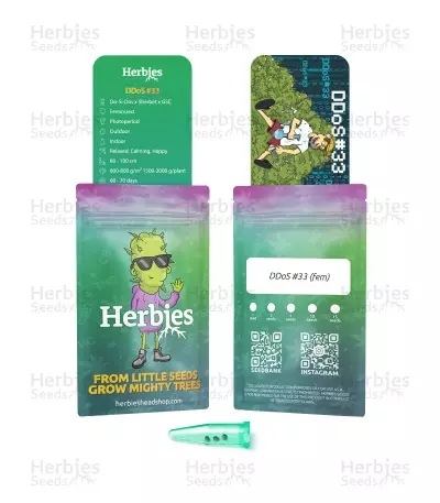 DDoS #33 feminisierte Samen (Herbies Seeds)