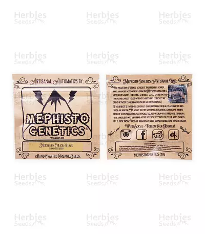 Northern Cheese Haze Auto (Mephisto Genetics) Cannabis-Samen