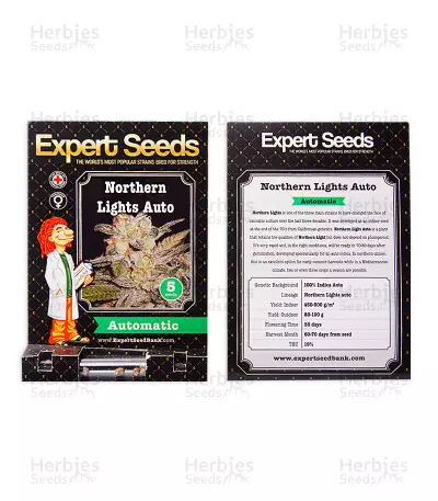 Northern Lights Auto (Expert Seeds) Cannabis-Samen