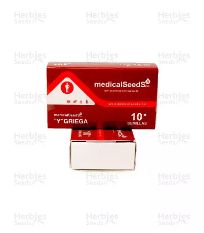Y Griega (Medical Seeds) Cannabis-Samen