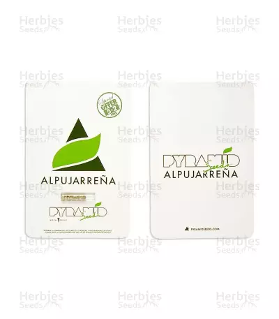 Alpujarrena (Pyramid Seeds) Cannabis-Samen