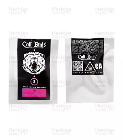 Z Auto (Cali Buds Seeds) Cannabis-Samen