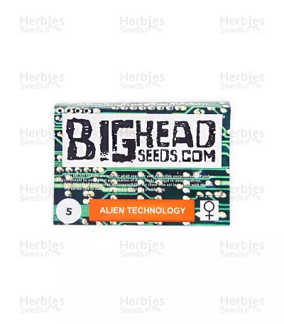 Alien Technology (Big Head Seeds) Cannabis-Samen