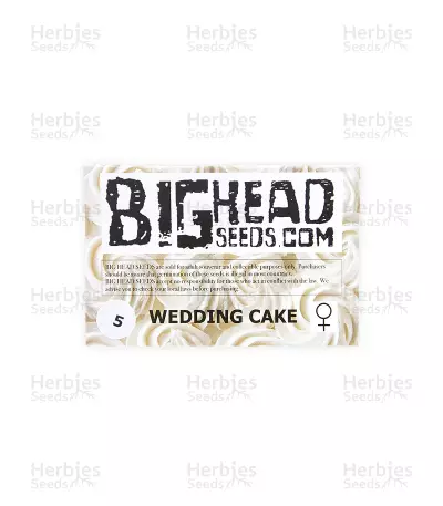 Wedding Cake (Big Head Seeds) Cannabis-Samen
