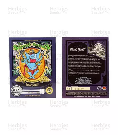 Black Jack (Sweet Seeds) Cannabis-Samen