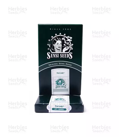 First Lady regular (Sensi Seeds) Cannabis-Samen