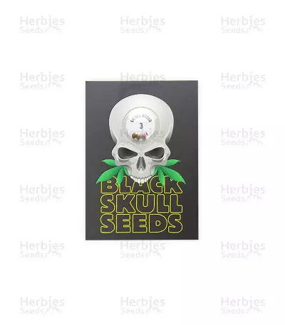 SkullRyder Auto (Blackskull Seeds) Cannabis-Samen