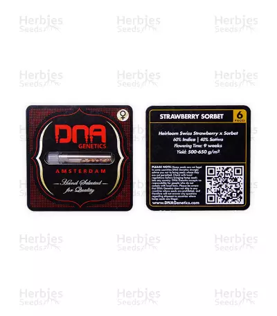 Strawberry Sorbet (DNA Genetics) Cannabis-Samen