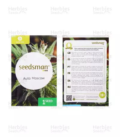Auto Moscow (Seedsman Seeds) Cannabis-Samen