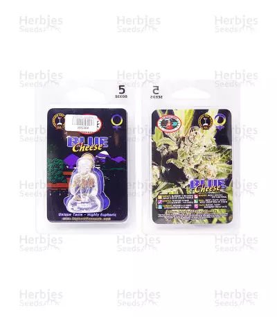 Blue Cheese (Big Buddha Seeds) Cannabis-Samen