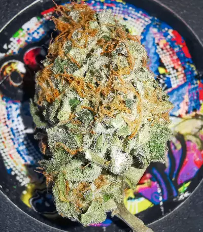 Blue Pyramid (Pyramid Seeds) Cannabis-Samen