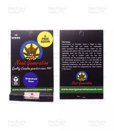 Grapefruit Haze regular (Next Generation Seeds) Cannabis-Samen