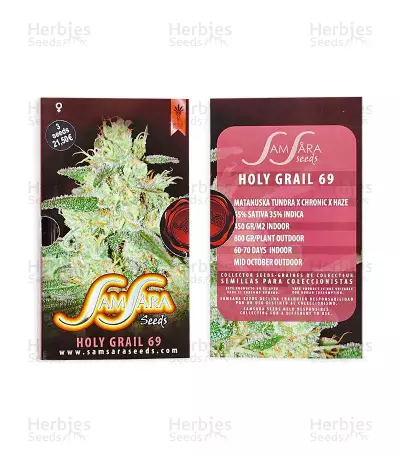 Holy Grail 69 (Samsara Seeds) Cannabis-Samen