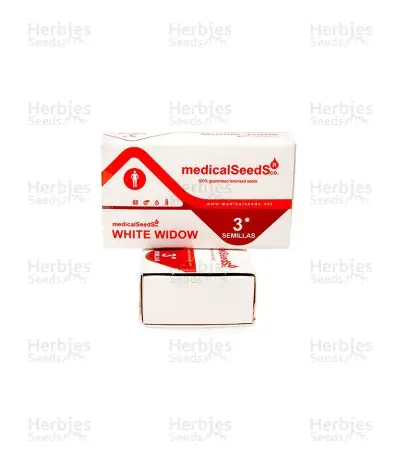 White Widow (Medical Seeds) Cannabis-Samen