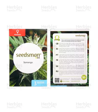 Somango (Seedsman Seeds) Cannabis-Samen