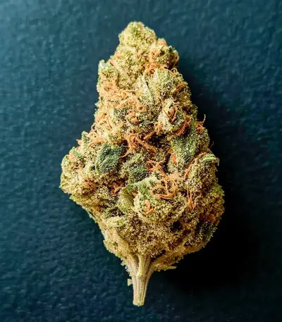 Diesel Matic Auto (Blackskull Seeds) Cannabis-Samen