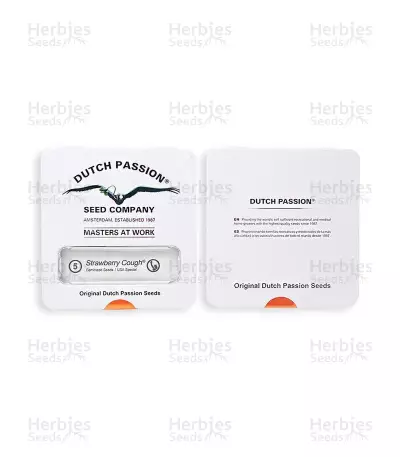 Strawberry Cough (Dutch Passion) Cannabis-Samen