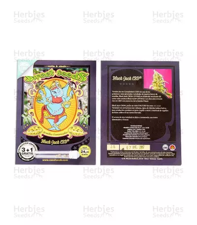 Black Jack CBD strain seeds