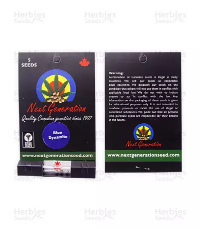 Blue Dynamite regular (Next Generation Seeds) Cannabis-Samen
