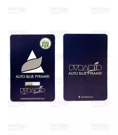 Auto Blue Pyramid seeds