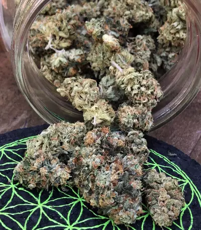 Sherbet Queen strain