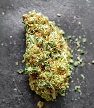 Keep Frosted Guava Autoflower feminisierte Samen (Seedkeepers)