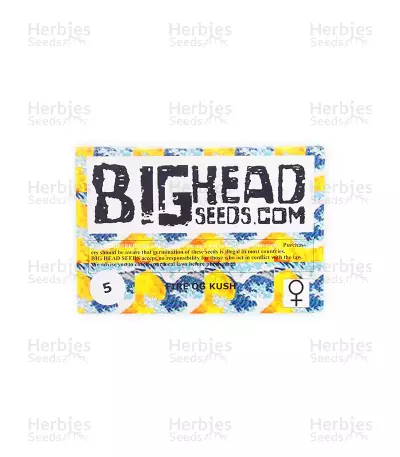 Fire OG Kush (Big Head Seeds) Cannabis-Samen