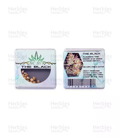 The Black (BC Bud Depot Seeds) Cannabis-Samen