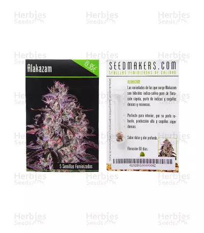 Alakazam (Seedmakers Seeds) Cannabis-Samen