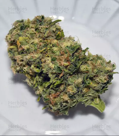 Cluster Bomb (Bomb Seeds)