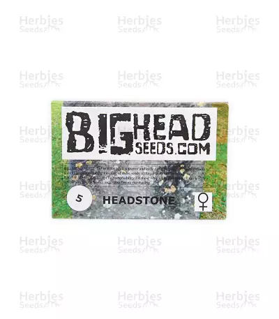 Headstone (Big Head Seeds) Cannabis-Samen
