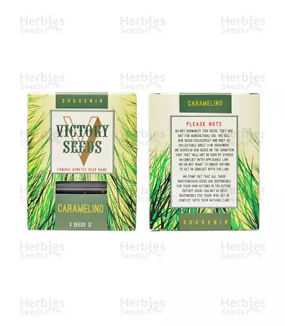 Caramelino (Victory Seeds) Cannabis-Samen
