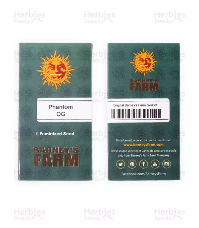 Phantom OG (Barney's Farm) Cannabis-Samen