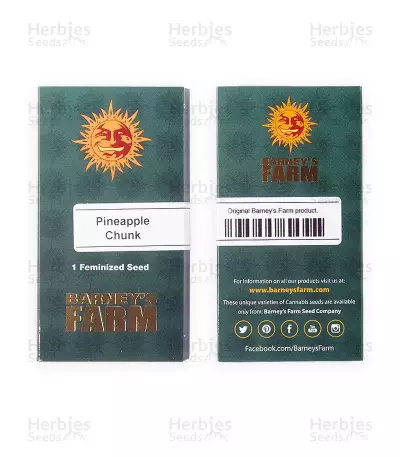 Pineapple Chunk feminisierte Samen (Barney’s Farm)