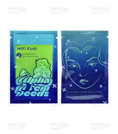 WiFi Kush feminisierte Samen (AlphaFem Seeds)