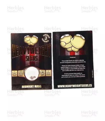 Midnight Mass (Heavyweight Seeds) Cannabis-Samen