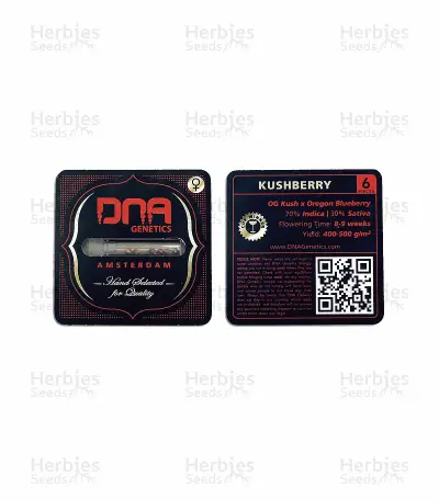 Kushberry (DNA Genetics) Cannabis-Samen