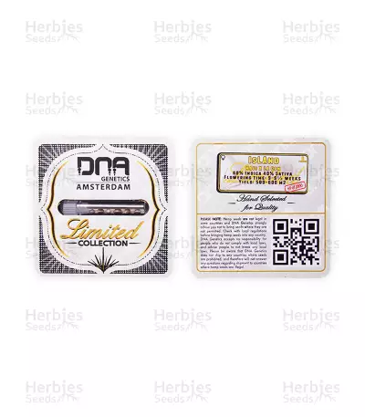 IsLAnd strain seeds