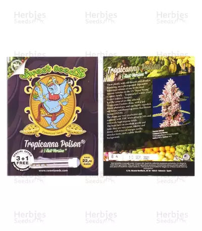 Tropicanna Poison F1 Fast Version feminisiertes Saatgut (Sweet Seeds)