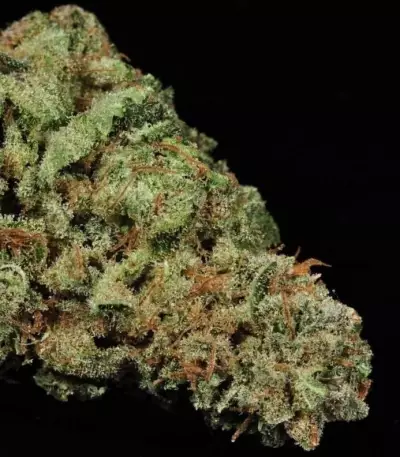 White Widow (GHS) Cannabis-Samen