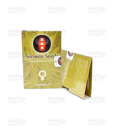 Serious 6 (Serious Seeds) Cannabis-Samen