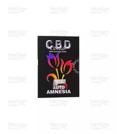 Auto Amnesia (CBD Seeds) Cannabis-Samen