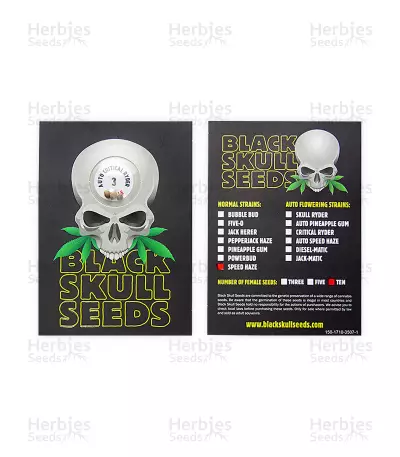 Critical Ryder Auto (Blackskull Seeds)