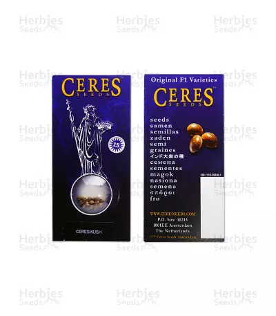Ceres Kush (Ceres Seeds) Cannabis-Samen