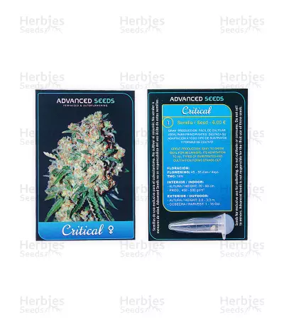 Critical (Advanced Seeds) Cannabis-Samen