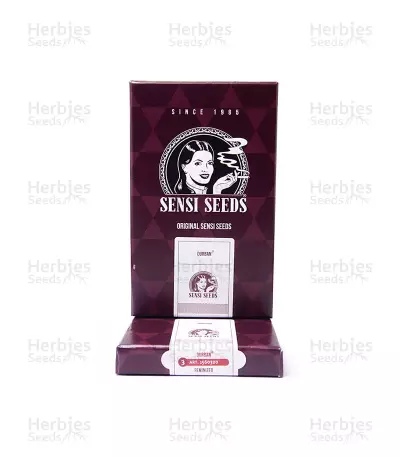 Durban (Sensi Seeds) Cannabis-Samen