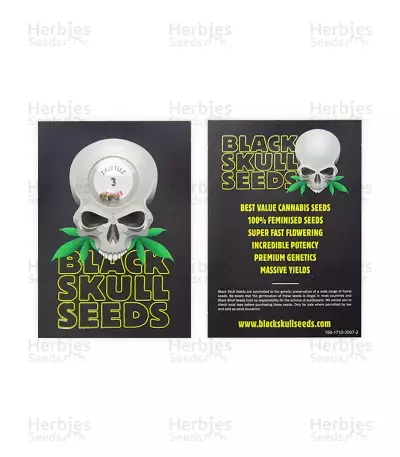 Z (Blackskull Seeds) Cannabis-Samen